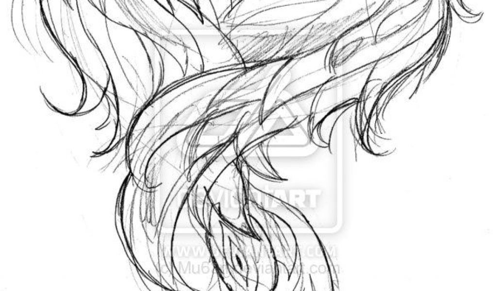 1024x600 Phoenix Tattoo Template Simple Phoenix Tattoo Designs Sketch - Simple Phoenix Drawing