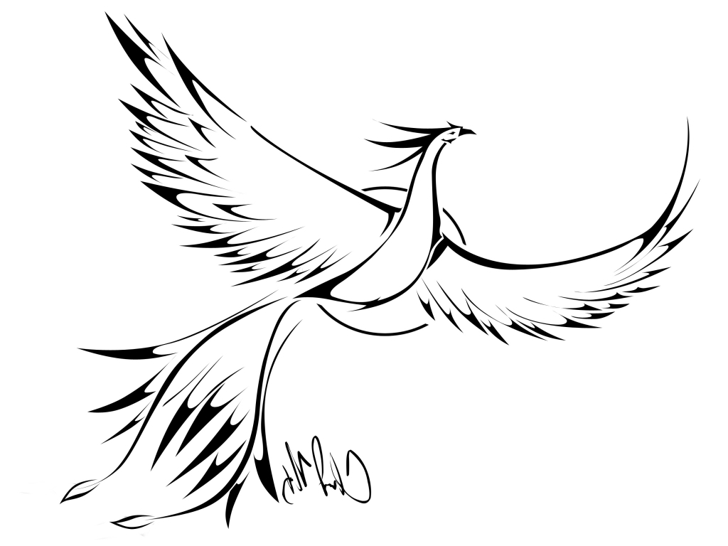 Simple Phoenix Drawing at Explore collection of