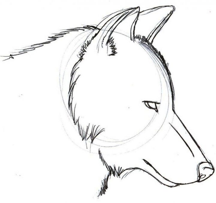 720x677 Simple Drawings Of Wolves Simple Drawing Of A Wolf - Simple Pictures Drawing