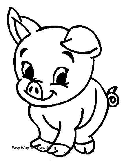 435x557 Easy Way To Draw A Pig How To Draw A Simple Pig Steps - Simple Pig Drawing