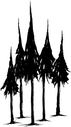 Simple Pine Tree Drawing
