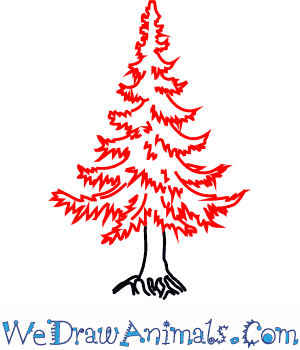 300x350 How To Draw A Fir Tree - Simple Pine Tree Drawing