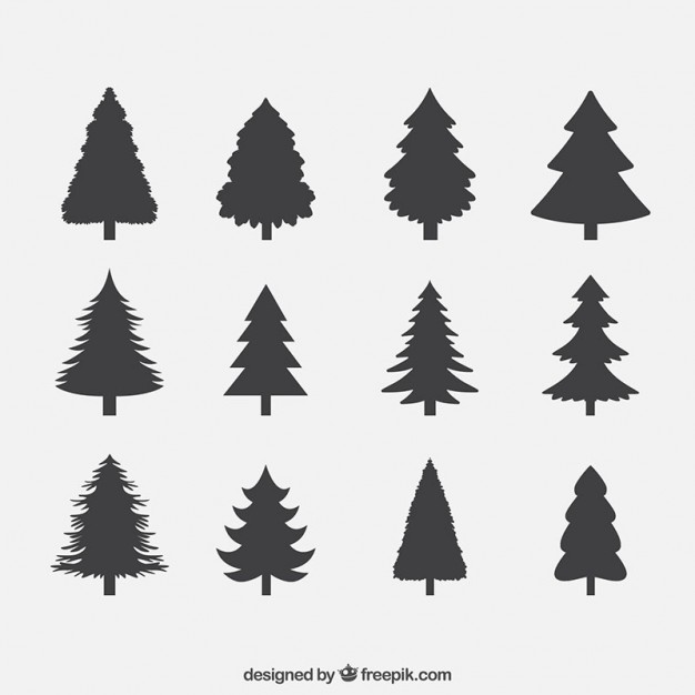 626x626 Pine Tree Vector Art Fir Vectors S - Simple Pine Tree Drawing