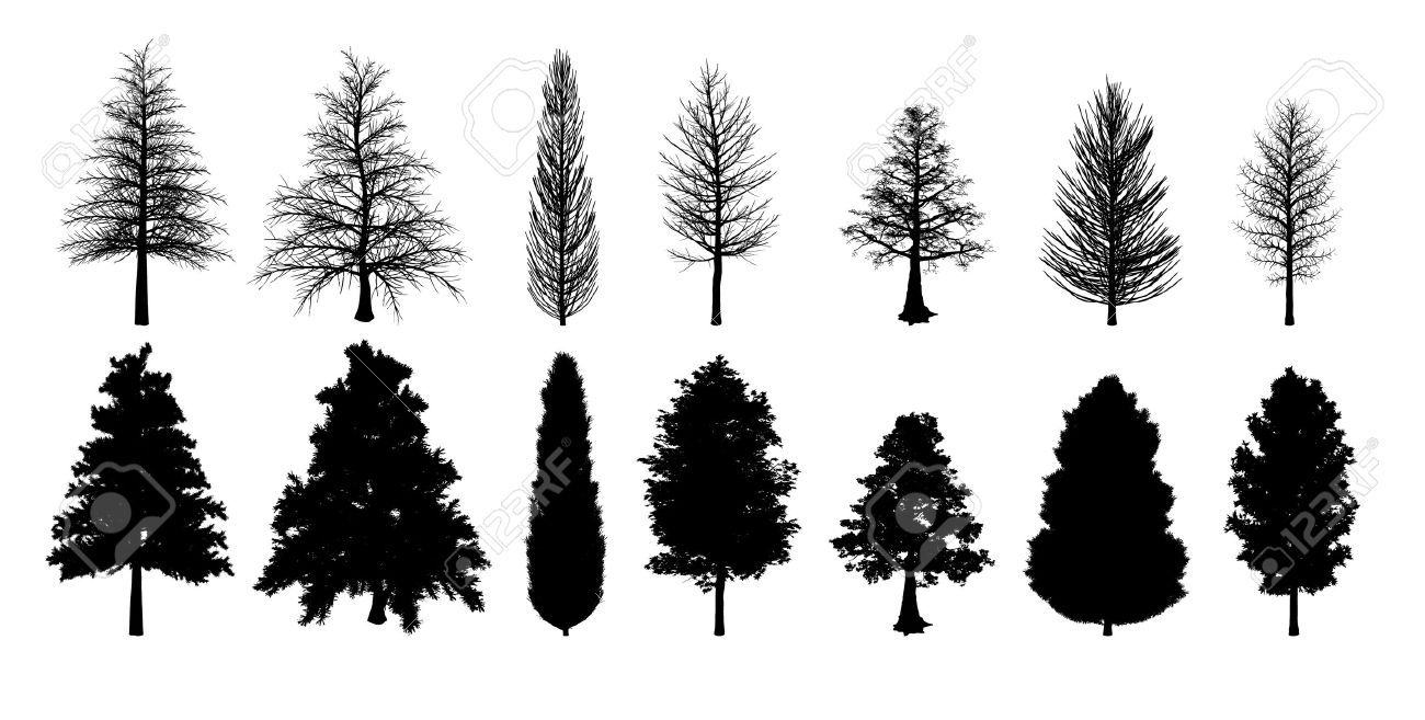 1300x657 Simple Pine Tree Silhouette - Simple Pine Tree Drawing