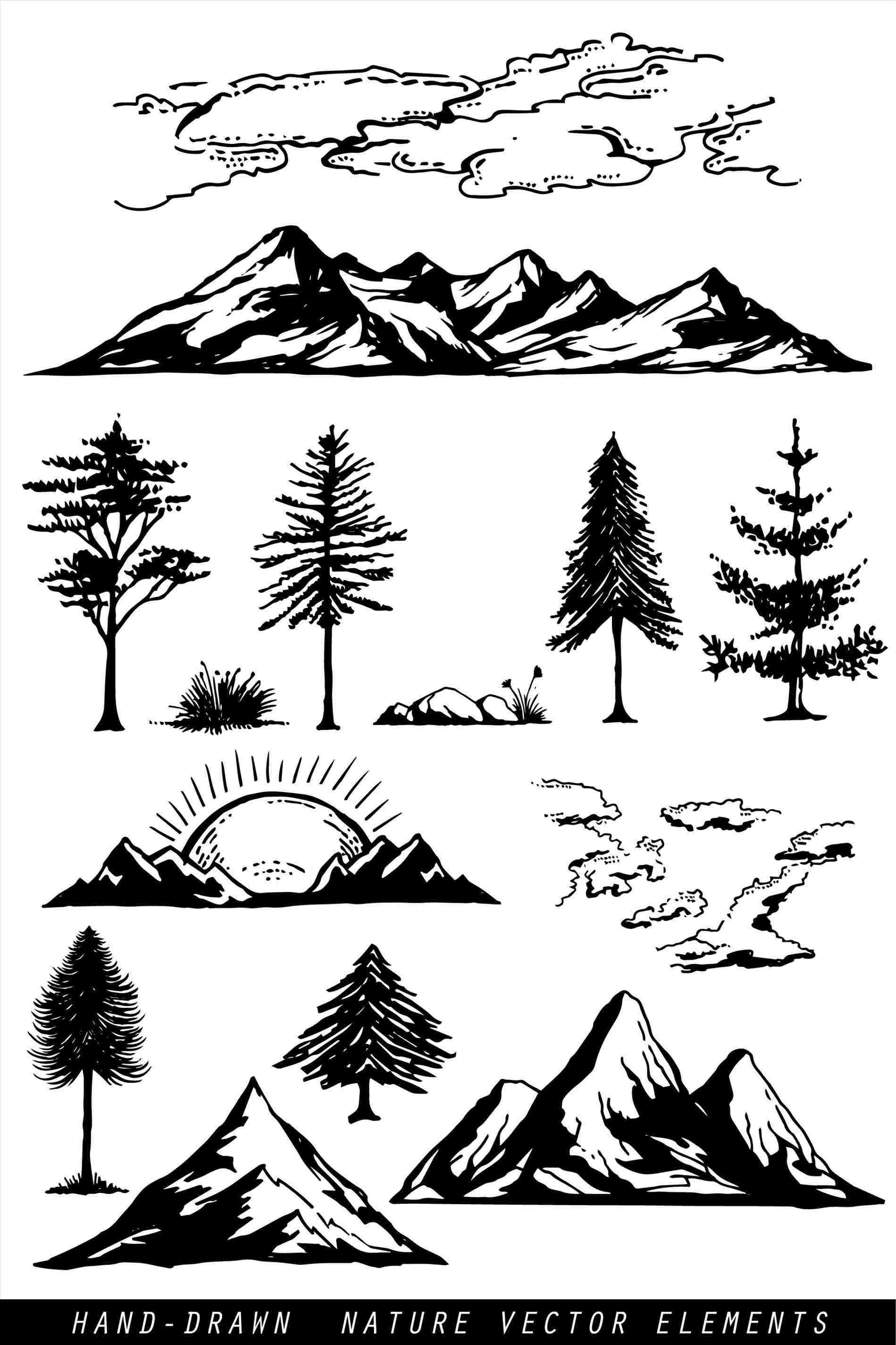 Simple Pine Tree Drawing at Explore collection of
