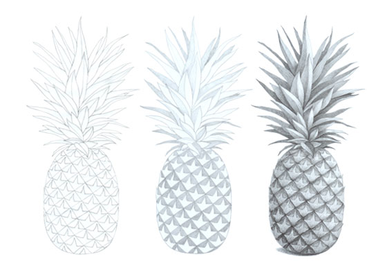 560x400 How To Draw A Realistic Pineapple Step - Simple Pineapple Drawing