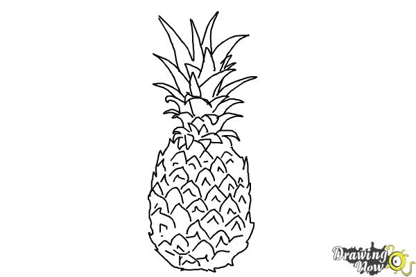 600x400 How To Draw A Pineapple - Simple Pineapple Drawing