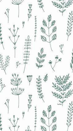 236x419 herb print - Simple Plant Drawing