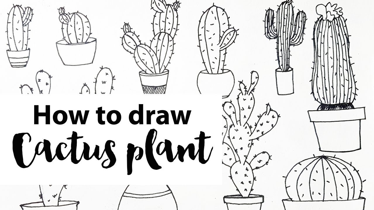 1280x720 How To Draw Simple Succulent Or Cactus Doodles - Simple Plant Drawing