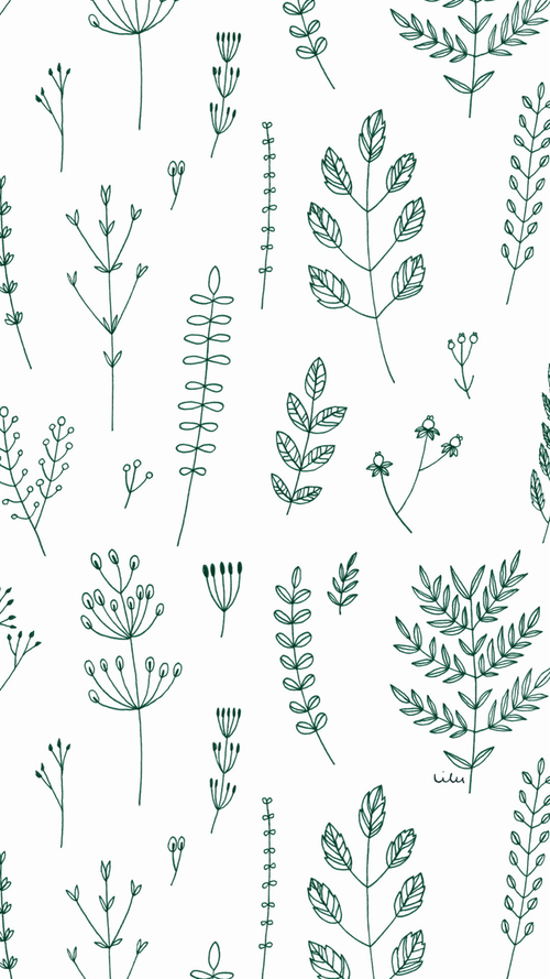 500x889 like the layout again and could use the simple layout to overlay - Simple Plant Drawing
