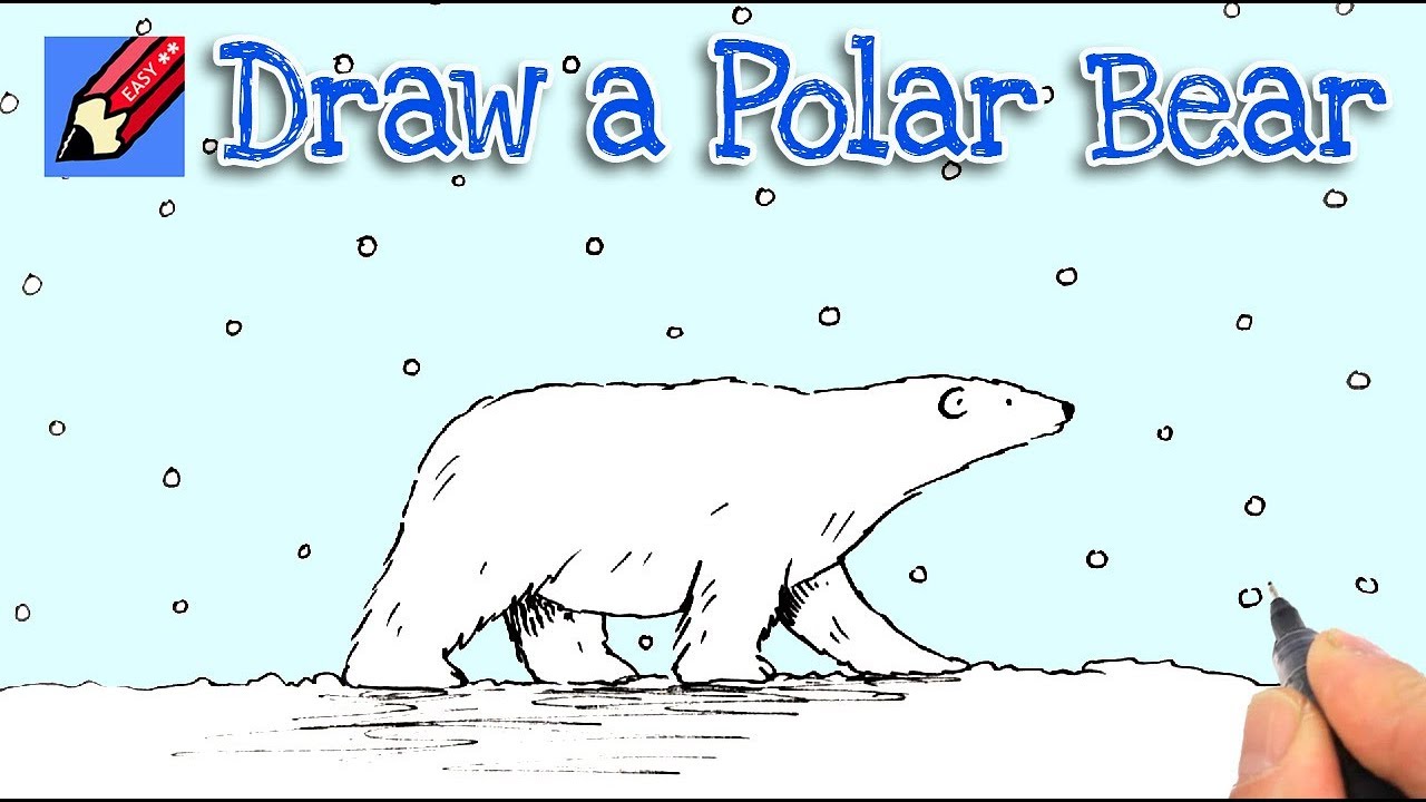 1280x720 How To Draw A Polar Bear Real Easy - Simple Polar Bear Drawing