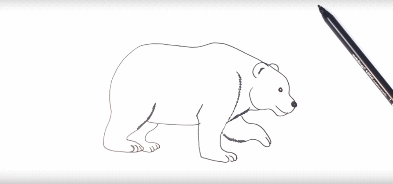 1337x626 How To Draw A Polar Bear For Kids - Simple Polar Bear Drawing
