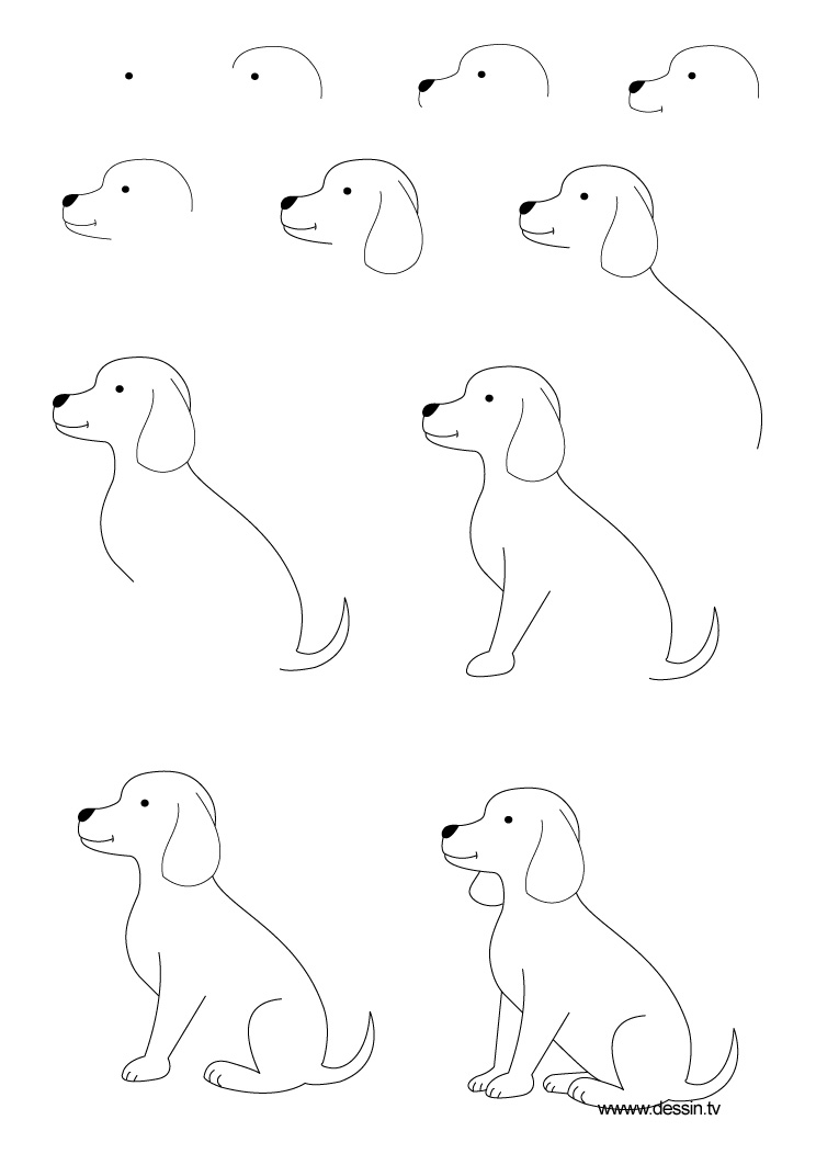 Drawing Puppy Dog Drawing Step By Step