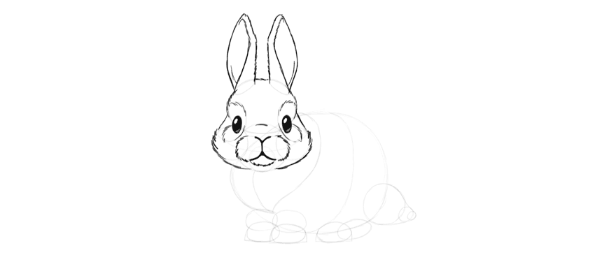 850x375 How To Draw A Cute Bunny Step - Simple Rabbit Drawing