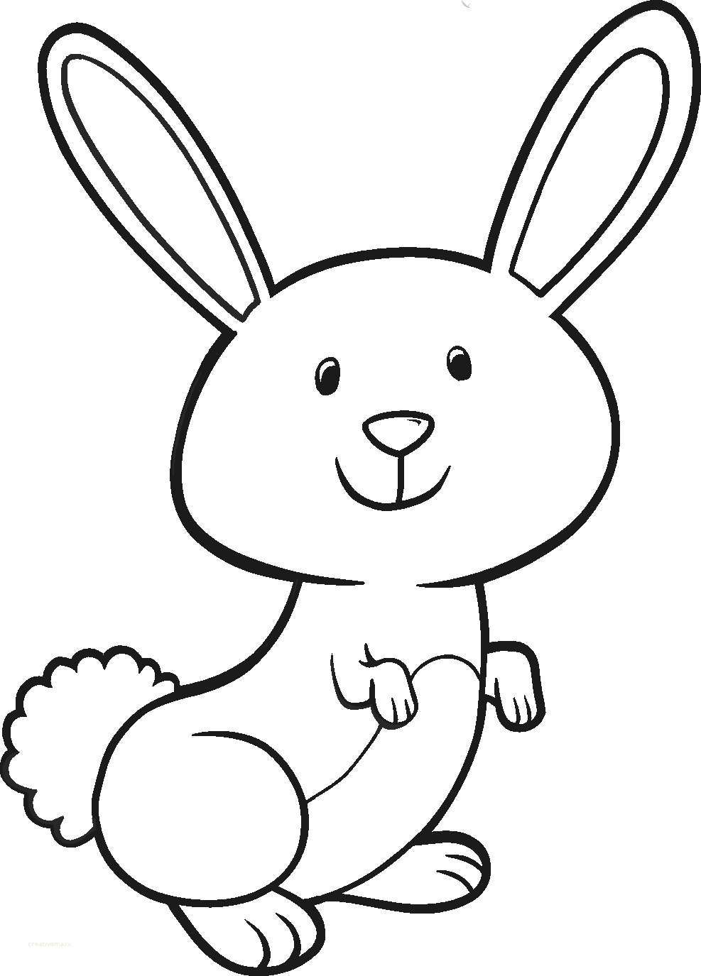 987x1375 Rabbit Drawing Easy How To Draw A Simple Easy Step - Simple Rabbit Drawing