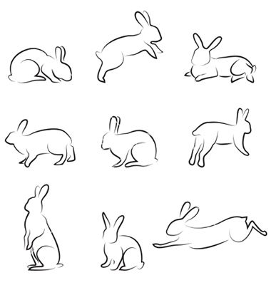 380x400 Rabbit Drawing Set Vector Image On Cool Stuff Drawings, Rabbit - Simple Rabbit Drawing