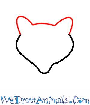 300x350 How To Draw A Raccoon - Simple Raccoon Drawing