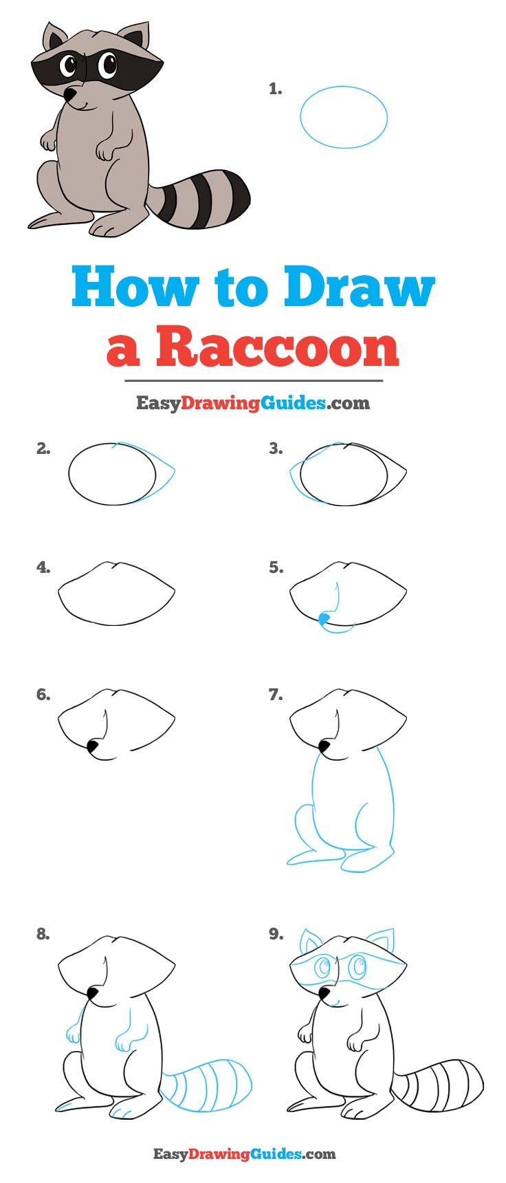 736x1720 How To Draw A Raccoon - Simple Raccoon Drawing