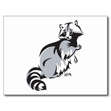 225x225 Image Result For Cute Raccoon Drawing Artisticartwork Ideas - Simple Raccoon Drawing