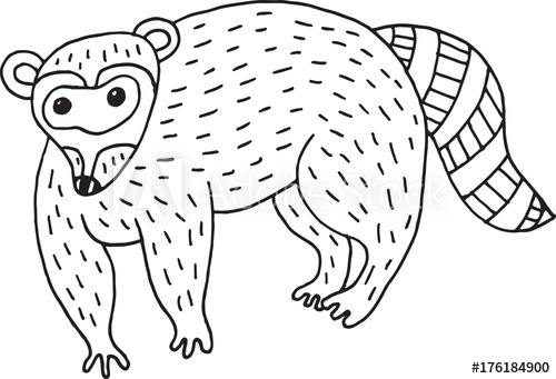 500x341 Forest Animal Raccoon Doodle Cartoon Simple Illustration Kids - Simple Raccoon Drawing