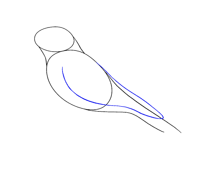 678x600 How To Draw A Raven Step - Simple Raven Drawing