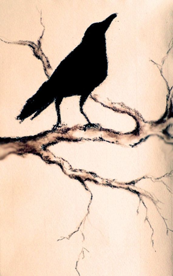 570x908 Simple Crow Drawing - Simple Raven Drawing