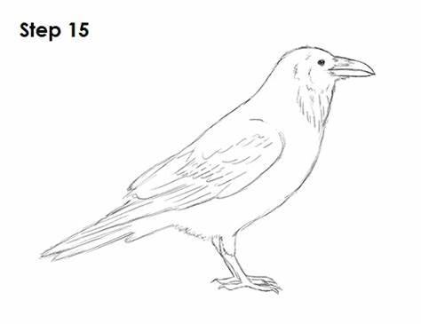 474x365 Simple Raven Drawing Gtgt - Simple Raven Drawing