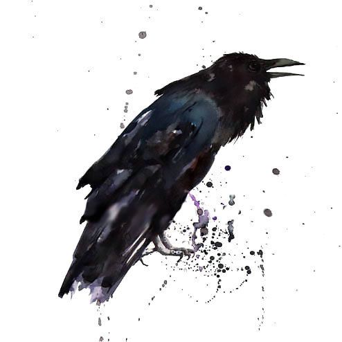 494x494 Simple Raven Tattoo Design Tattoos Art, Watercolor Bird, Bird Art - Simple Raven Drawing