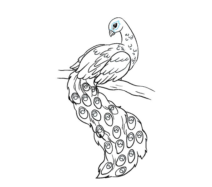 678x600 Collection Of Free Raven Drawing Minimalist Download On Ui Ex - Simple Raven Drawing