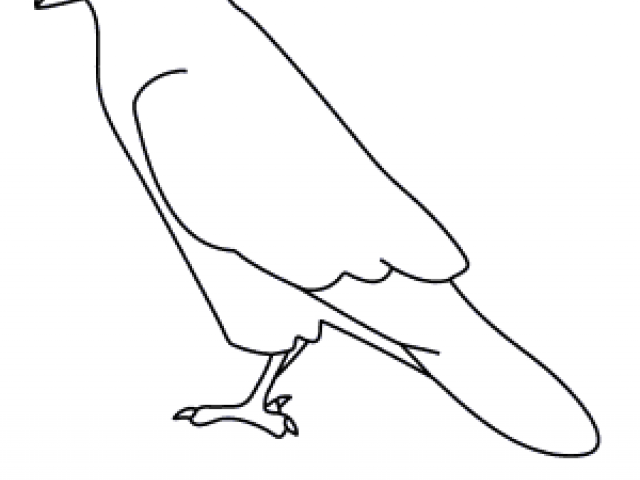640x480 Drawn Raven Simple - Simple Raven Drawing