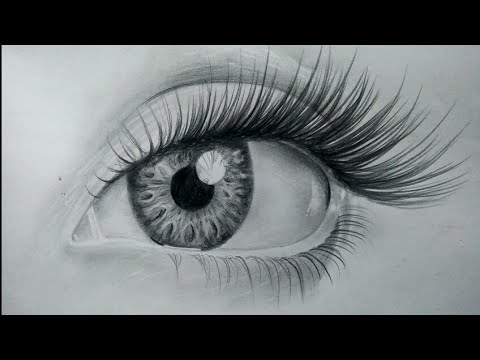 480x360 Simple Realistic Drawings How To Draw Realistic Eyes Easy Step - Simple Realistic Drawings