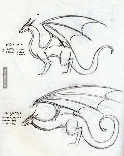 500x626 Simple Realistic Drawings Of Wyverns Drawings I Like - Simple Realistic Drawings