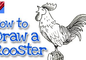 300x210 Simple Rooster Drawing How To Draw A Chicken - Simple Rooster Drawing