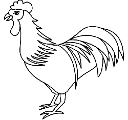 250x234 How To Draw Chickens Drawing Tutorials Drawing How To Draw - Simple Rooster Drawing