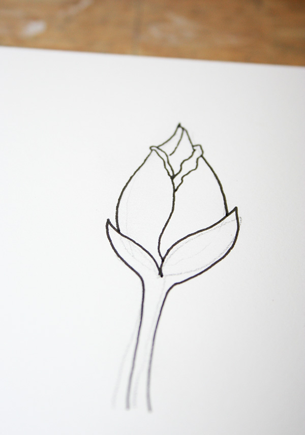 Simple Rose Bud Drawing at PaintingValley.com | Explore ...