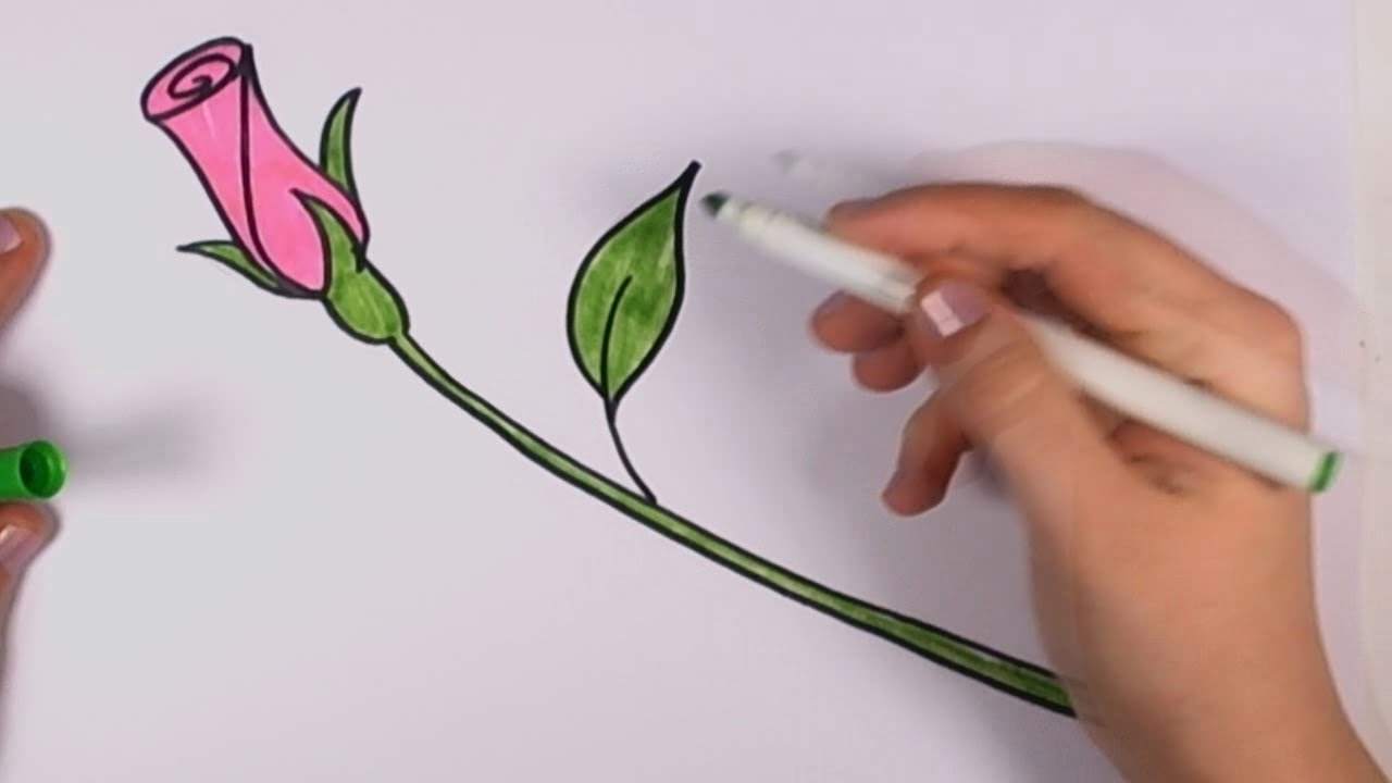 1280x720 How To Draw A Rose For Beginners - Simple Rose Bud Drawing