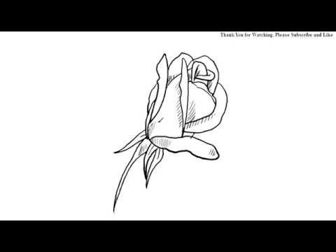 480x360 how to draw a beautiful rose bud draw under one minute easy simple - Simple Rose Bud Drawing