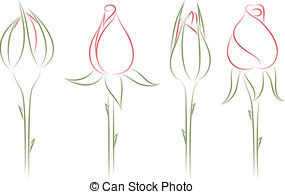 285x194 pictures pictures of rose buds drawings - Simple Rose Bud Drawing
