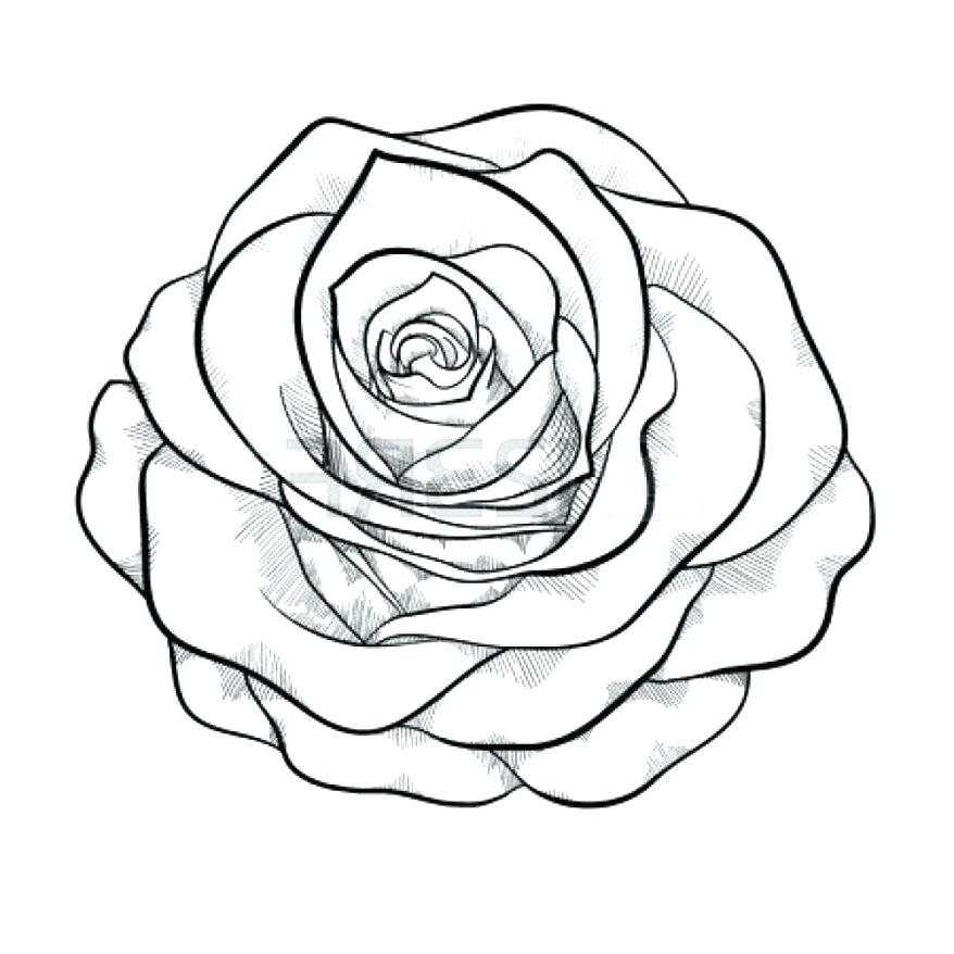 Simple Rose Bud Drawing at Explore