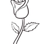 Simple Rose Bud Drawing at PaintingValley.com | Explore collection of ...