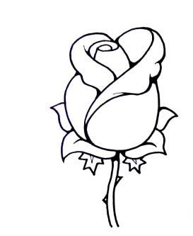 273x333 Rosebud Drawing - Simple Rose Bud Drawing