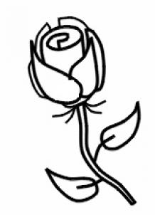218x302 How To Draw A Simple Rose, Step - Simple Rose Drawing