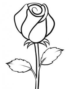 237x302 How To Draw An Easy Rose, Step - Simple Rose Drawing