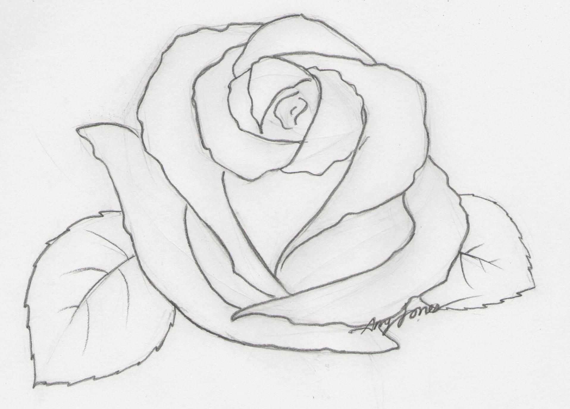 1916x1376 Inspirational Simple Rose Drawings Easy - Simple Rose Drawing