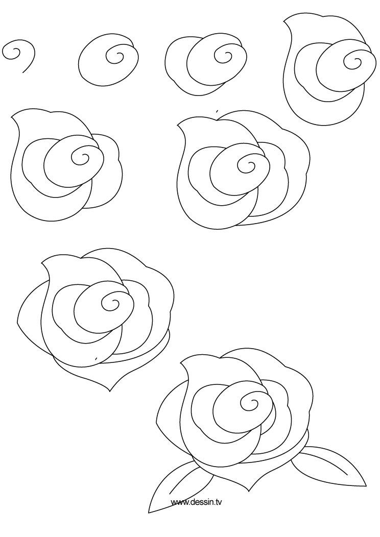 744x1052 On Simple Rose Drawing - Simple Rose Drawing
