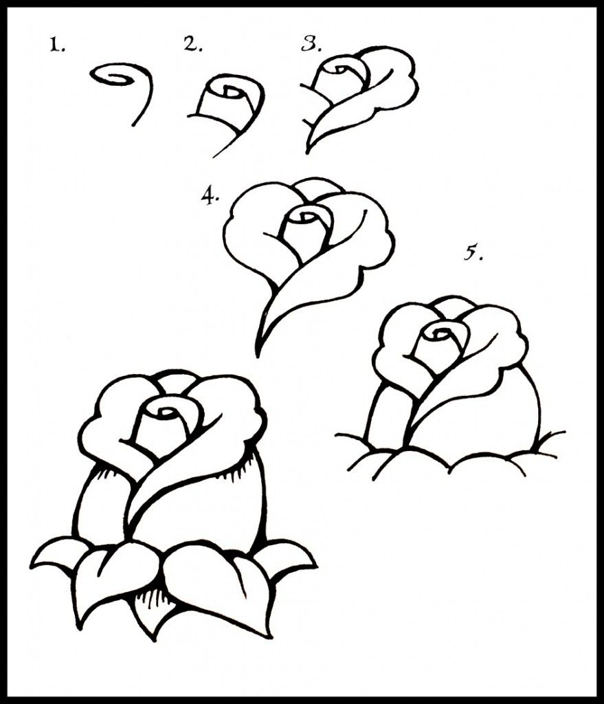 879x1024 Simple Rose Drawing Step - Simple Rose Drawing