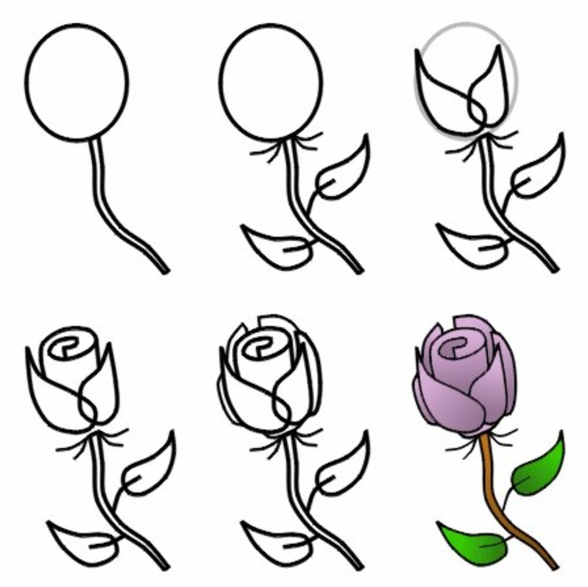 1172x1170 How To Sketch A Simple Rose How To Shade A Rose Drawing - Simple Rose Drawing