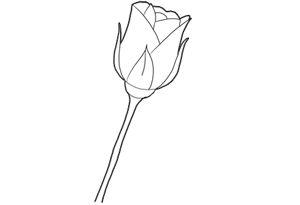 Simple Rose Drawing At Paintingvalleycom Explore