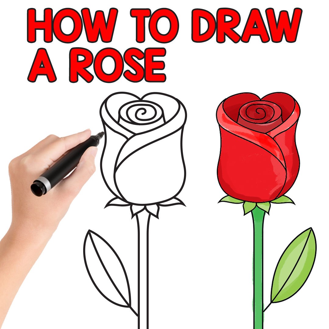 1080x1080 How To Draw A Easy Rose Step - Simple Rose Drawing Step By Step