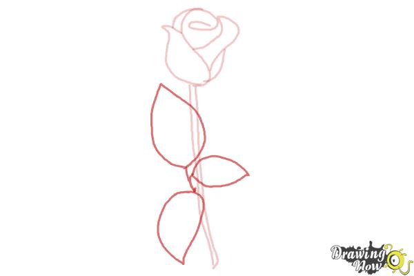 600x400 How To Draw A Rose Step - Simple Rose Drawing Step By Step